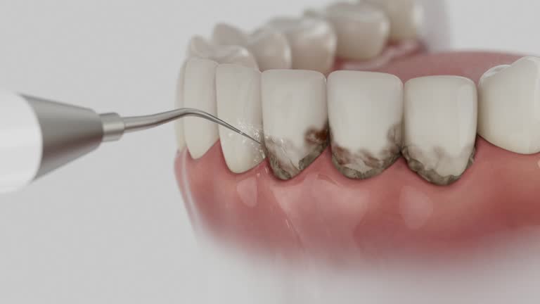 Reliable Dental contractor in Charleston, AR by Dentist Open Now